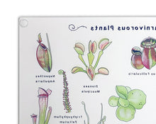 Load image into Gallery viewer, Carnivorous Plants Glass Cutting Board
