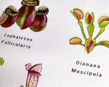 Load image into Gallery viewer, Carnivorous Plants Tea Towel