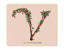 Load image into Gallery viewer, letter v alphabet placemat personalised gift idea for Victoria