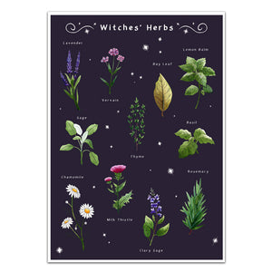 gothic home decor, witches herbs wall art