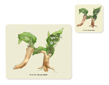 Load image into Gallery viewer, fruit and vegetable alphabet placemat and matching coaster letter h
