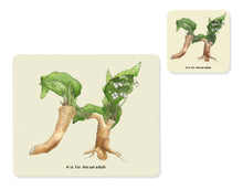 Load image into Gallery viewer, fruit and vegetable alphabet placemat and matching coaster letter h