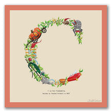 Load image into Gallery viewer, wall art alphabet letter c