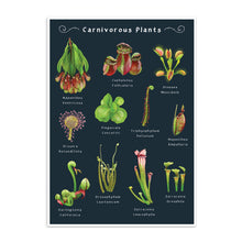 Load image into Gallery viewer, Carnivorous Plants A3 Art Print
