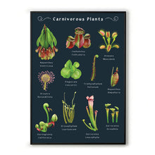 Load image into Gallery viewer, Carnivorous Plants A3 Art Print
