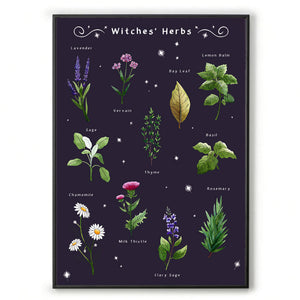 witches herbs gothic home decor for her. Witchcraft wall art